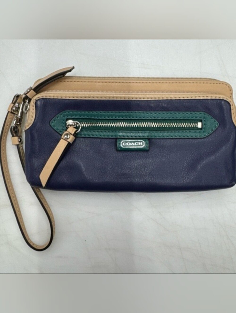 EUC Daisy Spectator Wristlet Beautiful Colors!